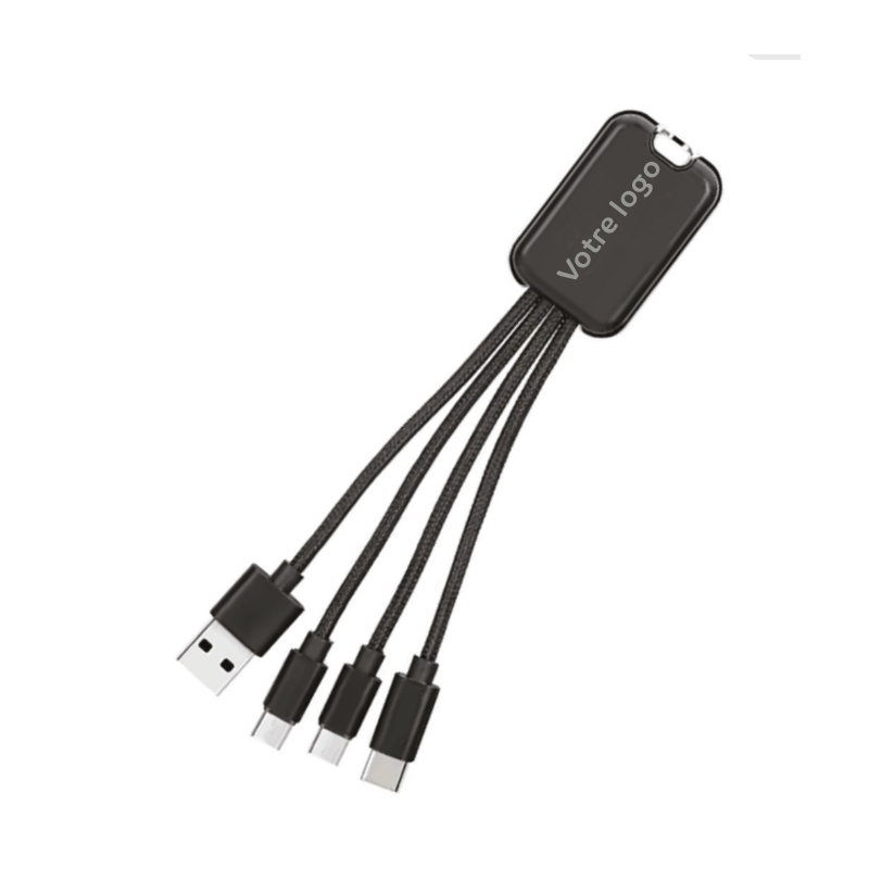 2303 Câble de charge 3 en 1 personnalisable – Image 1